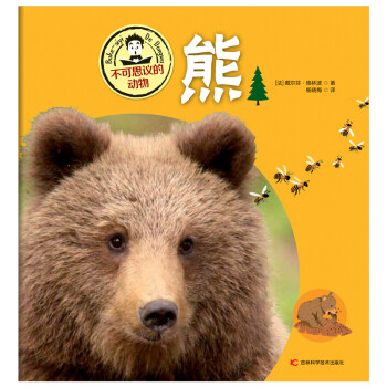 不可思議的動物熊 不可思議的動物熊