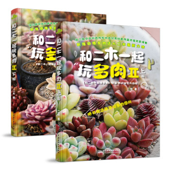 和二木一起玩多肉2 和二木一起玩多肉2