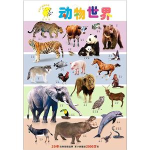 動(dòng)物世界 動(dòng)物世界