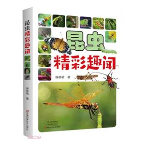 昆蟲精彩趣聞 昆蟲精彩趣聞