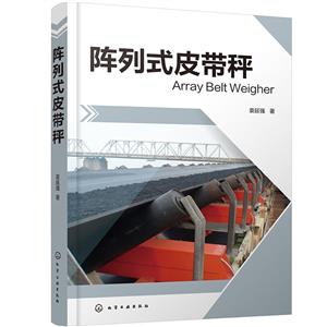 陣列式皮帶秤