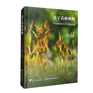 景寧苔蘚植物 景寧苔蘚植物