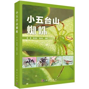 小五臺山蜘蛛 小五臺山蜘蛛