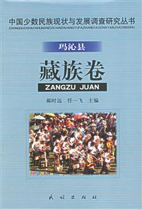 中國少數民族現狀與發(fā)展調查研究叢書