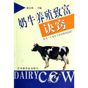 奶牛養殖致富訣竅 奶牛養殖致富訣竅