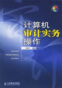 計算機審計實務操作 計算機審計實務操作