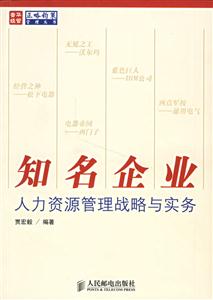 知名企業(yè)人力資源管理戰(zhàn)略與實(shí)務(wù) 知名企業(yè)人力資源管理戰(zhàn)略與實(shí)務(wù)