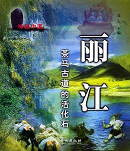 麗江茶馬古道的活化石 麗江茶馬古道的活化石