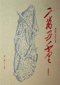 《二萬(wàn)五千里》讀后感：征途漫漫，心路歷程的震撼之旅！