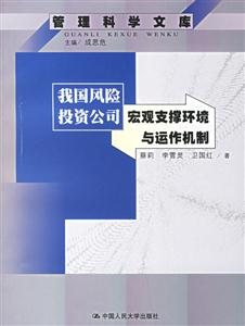 我國風險投資公司宏觀支撐環(huán)境與運作機制管理科學(xué)文庫 我國風險投資公司宏觀支撐環(huán)境與運作機制管理科學(xué)文庫
