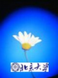 國際經(jīng)濟法學刊 國際經(jīng)濟法學刊