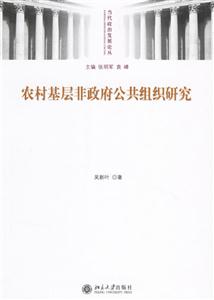 農村基層非政府公共組織研究：當代政治發展論叢