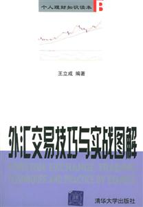 個人理財知識讀本外匯交易技巧與實戰圖解 個人理財知識讀本外匯交易技巧與實戰圖解
