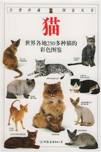 貓