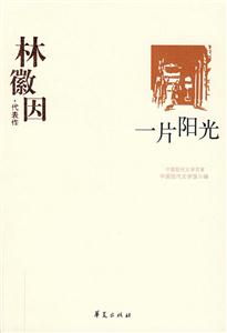 《一片陽光林徽因代表作》讀后感1000字：揭秘林徽因筆下的陽光世界，情感沖突與生活挑戰(zhàn)交織，一場意想不到的文學(xué)之旅！
