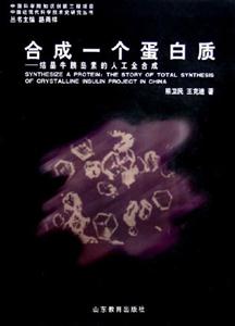 合成一個(gè)蛋白質(zhì)