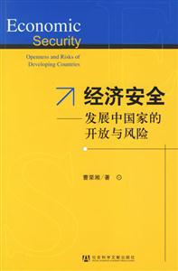 經濟安全發展中國家的開放與風險