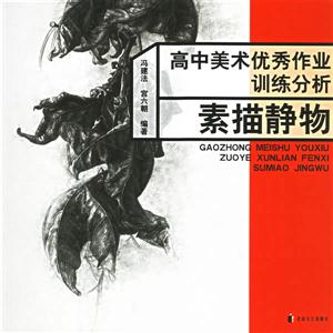 高中美術優秀作業訓練分析素描靜物 高中美術優秀作業訓練分析素描靜物