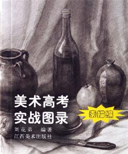 美術高考實戰圖錄素描編 美術高考實戰圖錄素描編