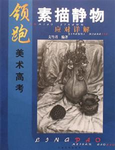 素描靜物應對詳解領跑美術高考 素描靜物應對詳解領跑美術高考