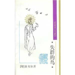 失群的鳥