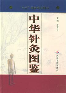 中華針灸圖鑒 中華針灸圖鑒