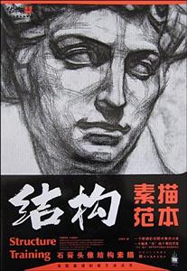 石膏頭像結構素描結構素描范本
