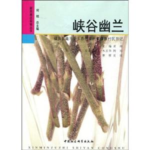 峽谷幽蘭