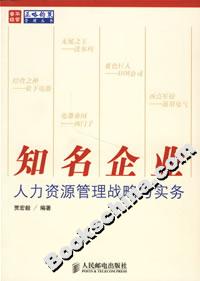 知名企業(yè)人力資源管理戰(zhàn)略與實(shí)務(wù) 知名企業(yè)人力資源管理戰(zhàn)略與實(shí)務(wù)