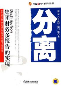 分離集團財務(wù)多報告的實現(xiàn) 分離集團財務(wù)多報告的實現(xiàn)