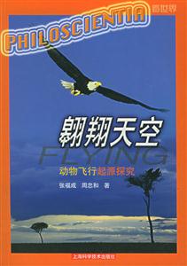 翱翔天空