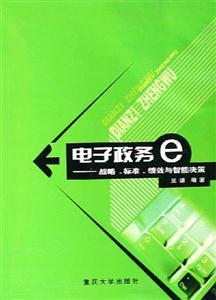 電子政務――戰略標準績效與智能決策 電子政務――戰略標準績效與智能決策