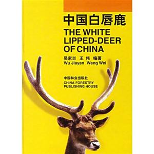 中國白唇鹿 中國白唇鹿