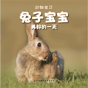 兔子寶寶美好的一天動物寶貝送自己動手涂涂看