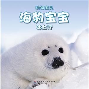 海豹寶寶冰上行動物寶貝送自己動手涂涂看